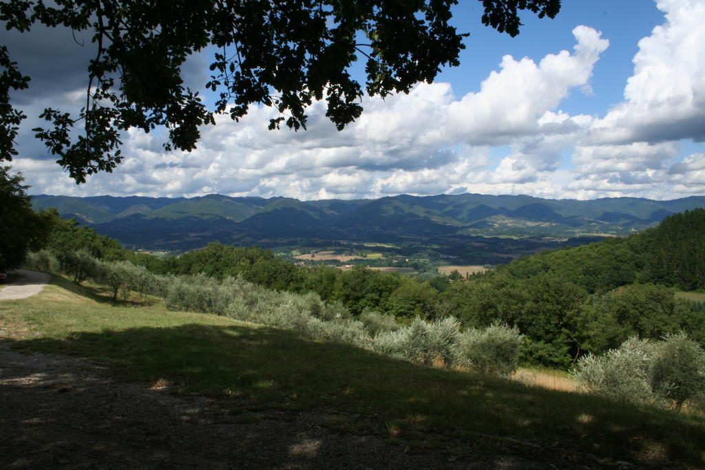 Podere Capitignano Borgo San Lorenzo Extérieur photo