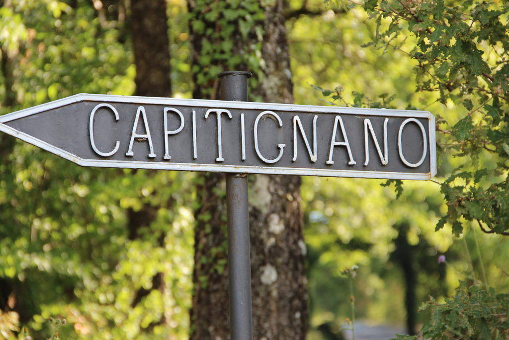 Podere Capitignano Borgo San Lorenzo Extérieur photo