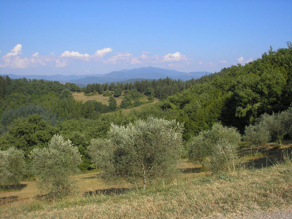 Podere Capitignano Borgo San Lorenzo Extérieur photo